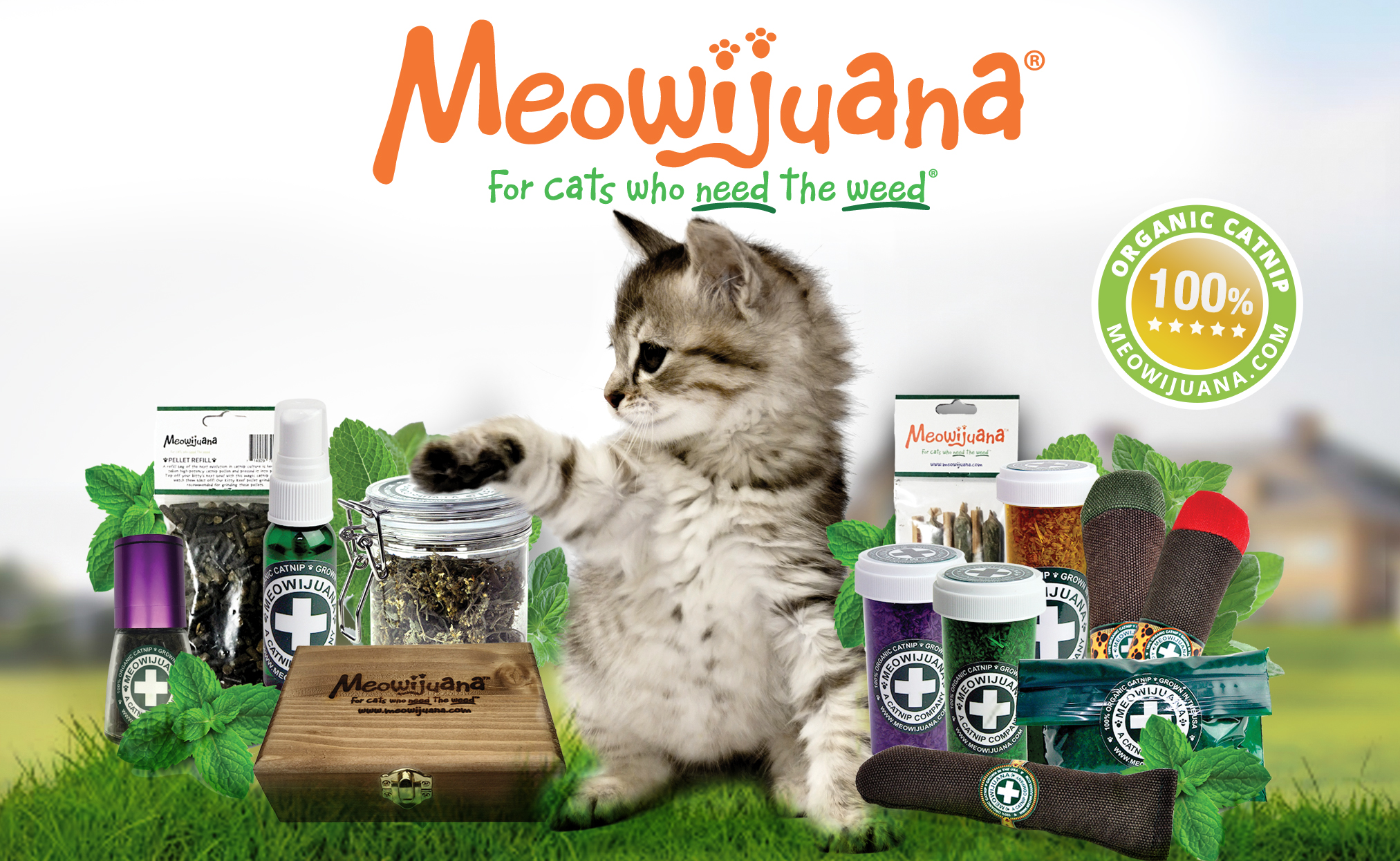 Meowijuana Catnip